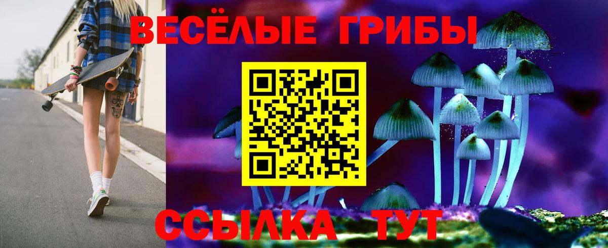 Псилоцибиновые грибы Cubensis  Галлюциногенные грибы мухоморы  Вход с VPN  Электросталь 