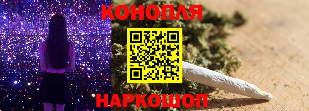 Конопля план Электросталь